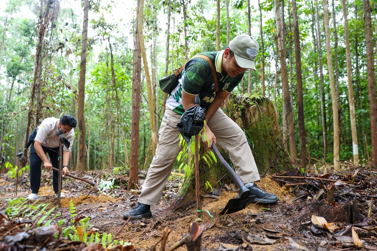Jejak Hijau