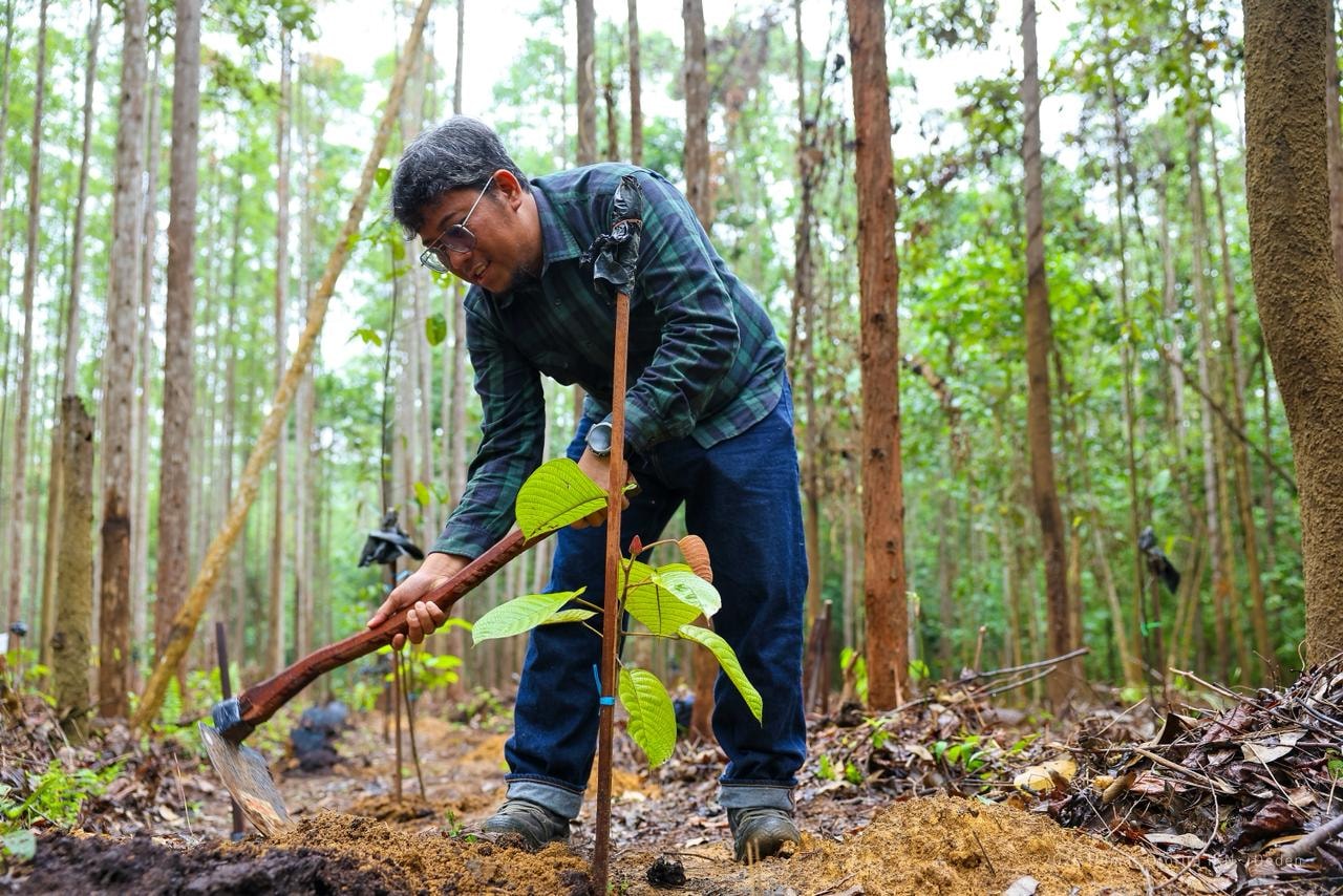 Jejak Hijau