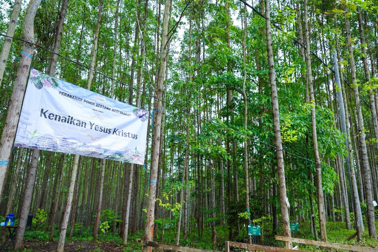 Jejak Hijau