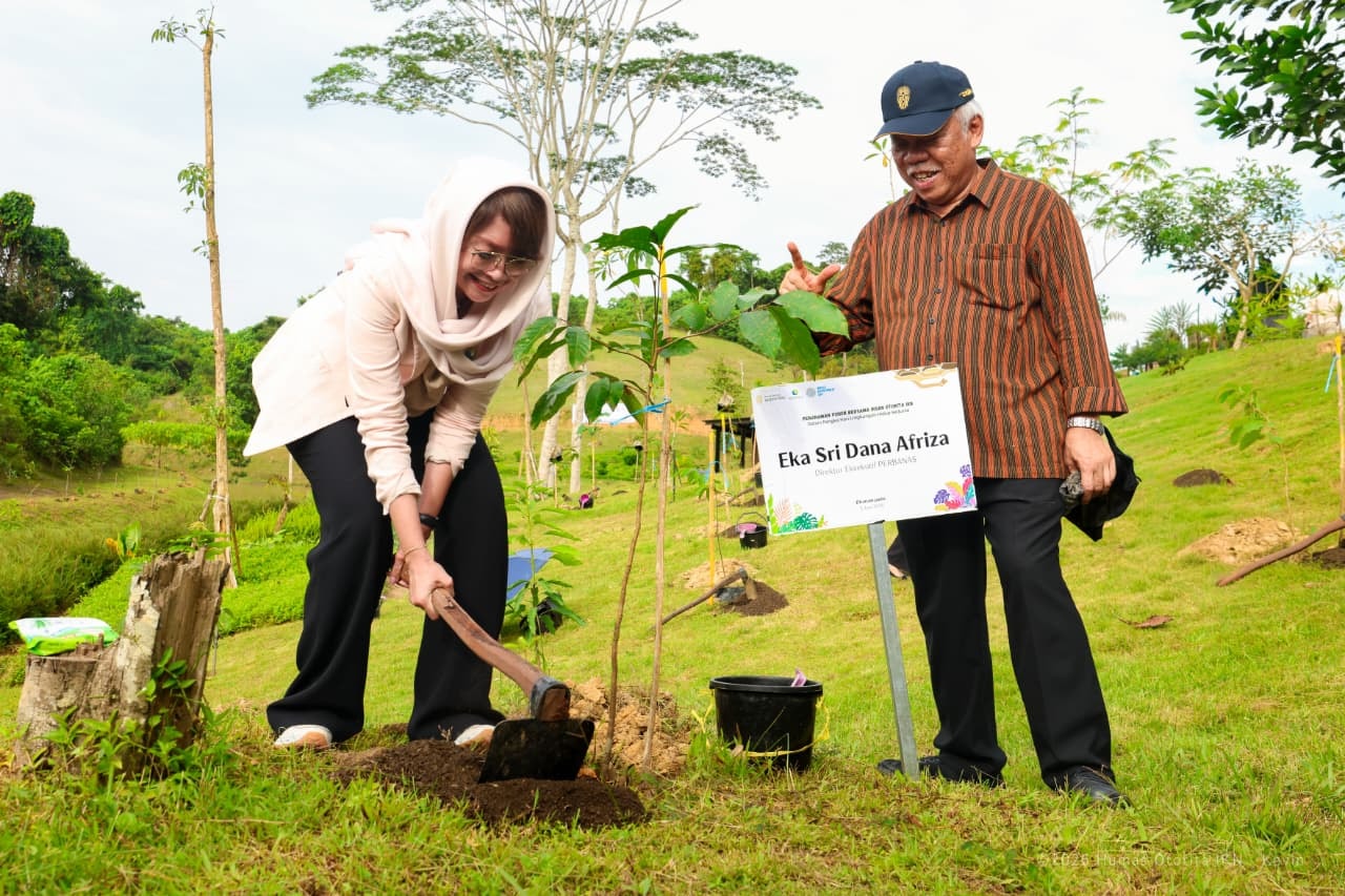 Penanaman di IKN