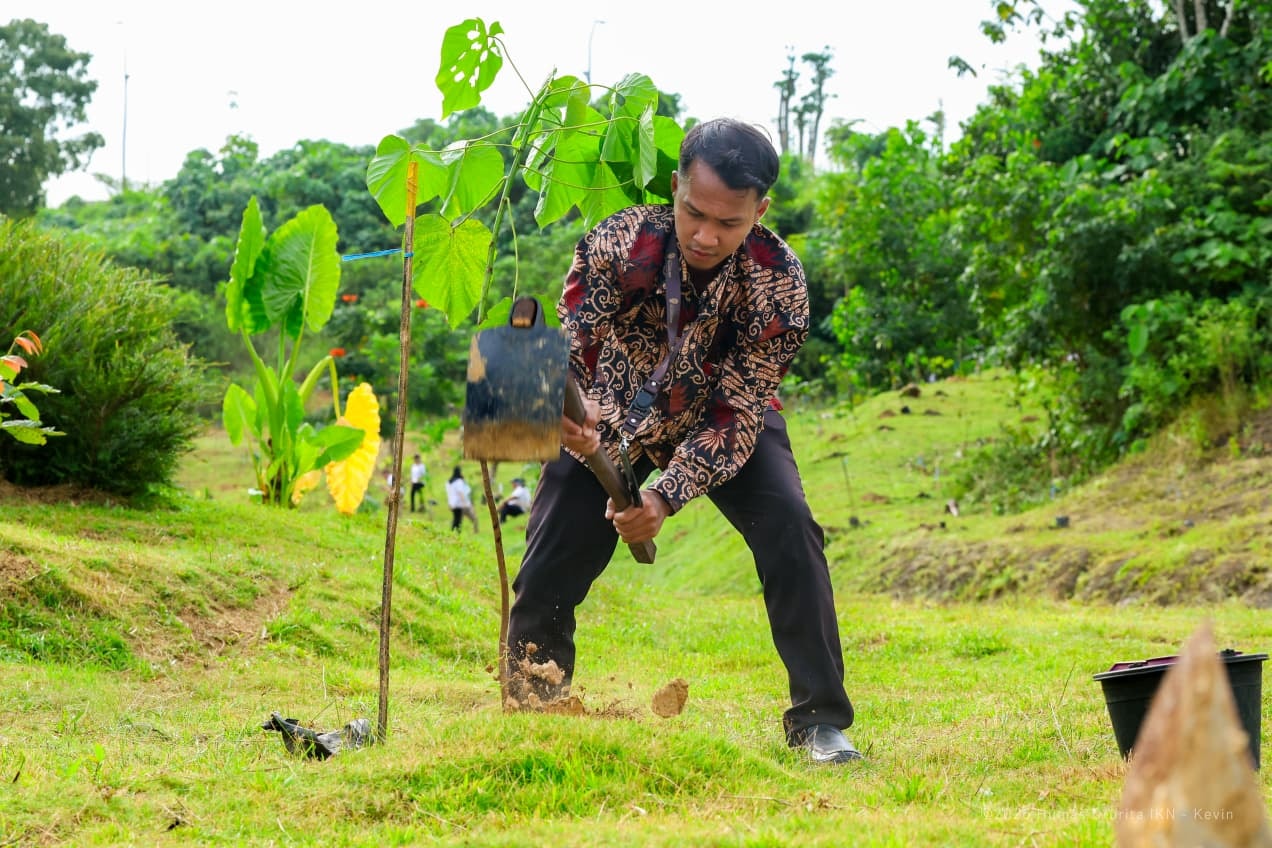 Penanaman di IKN