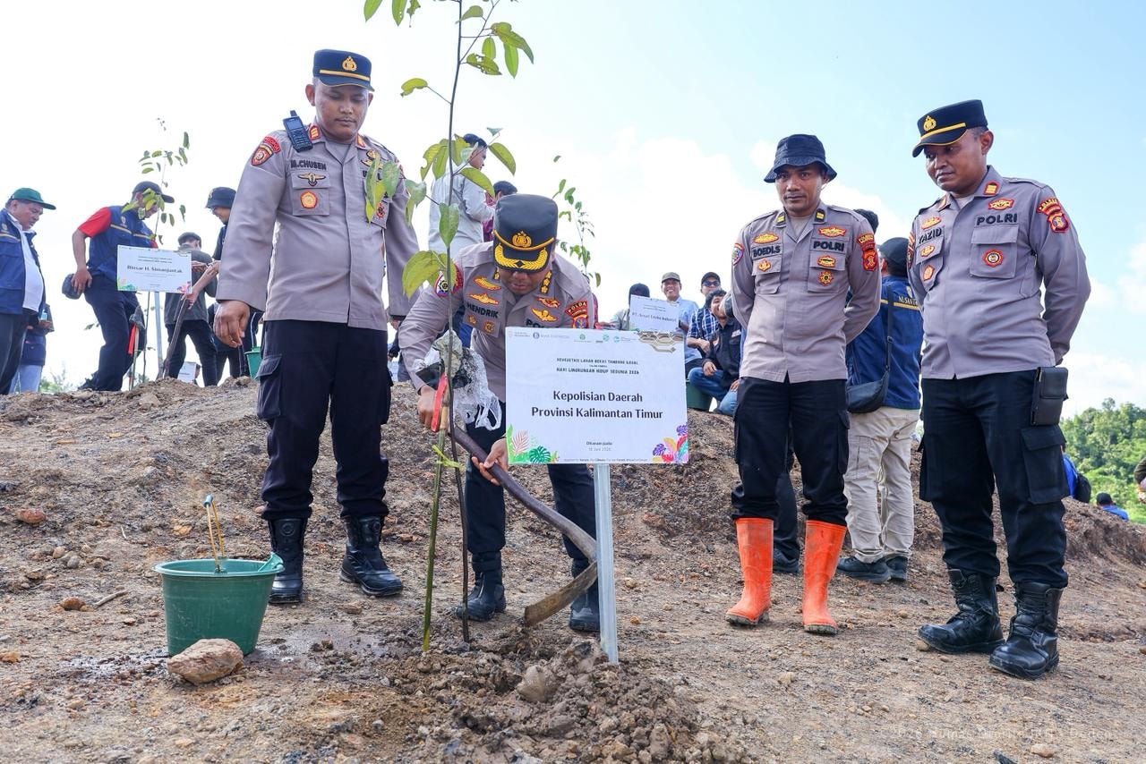 Revegetasi Tambang