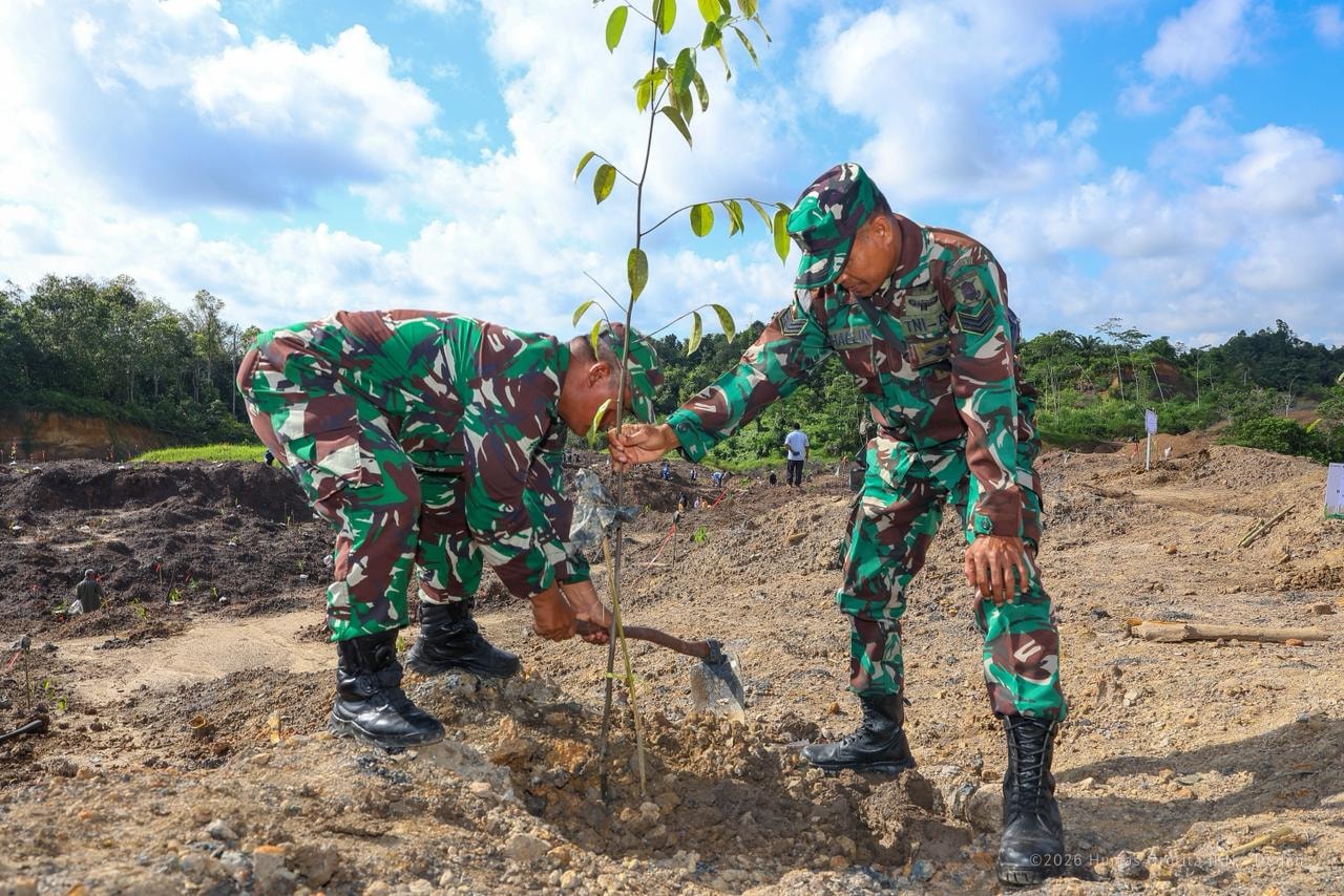 Revegetasi Tambang
