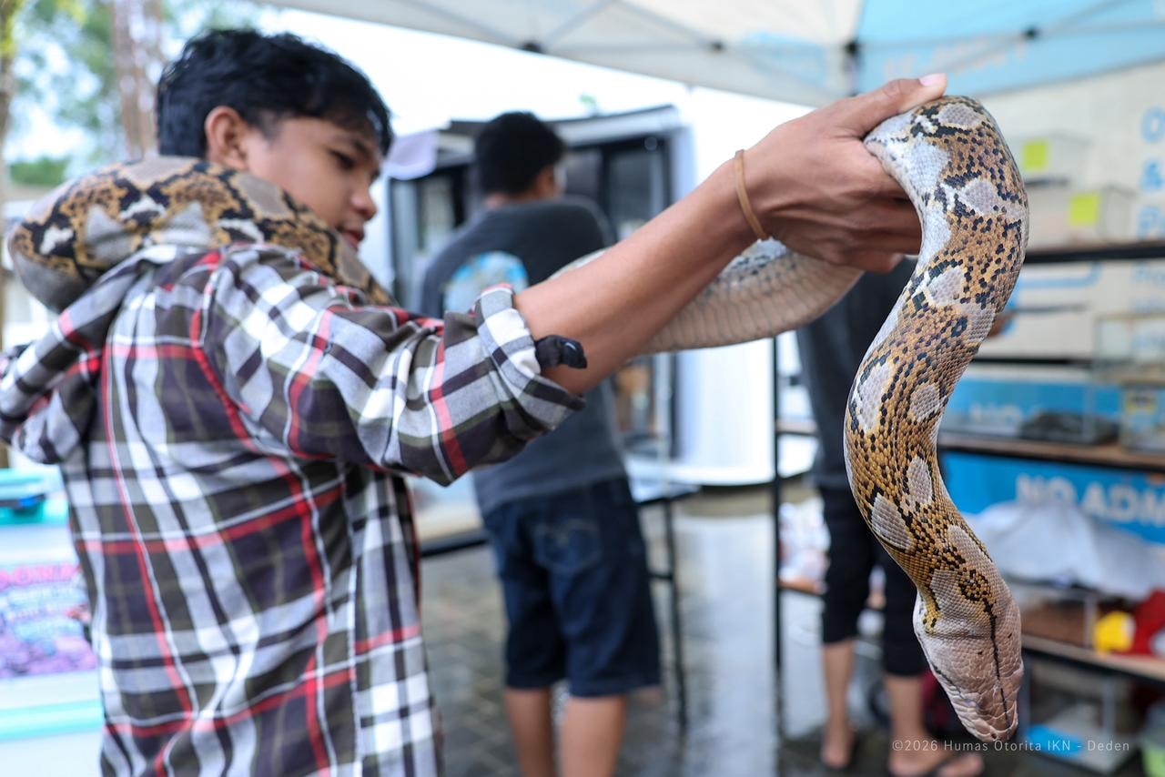 Satwa Reptil
