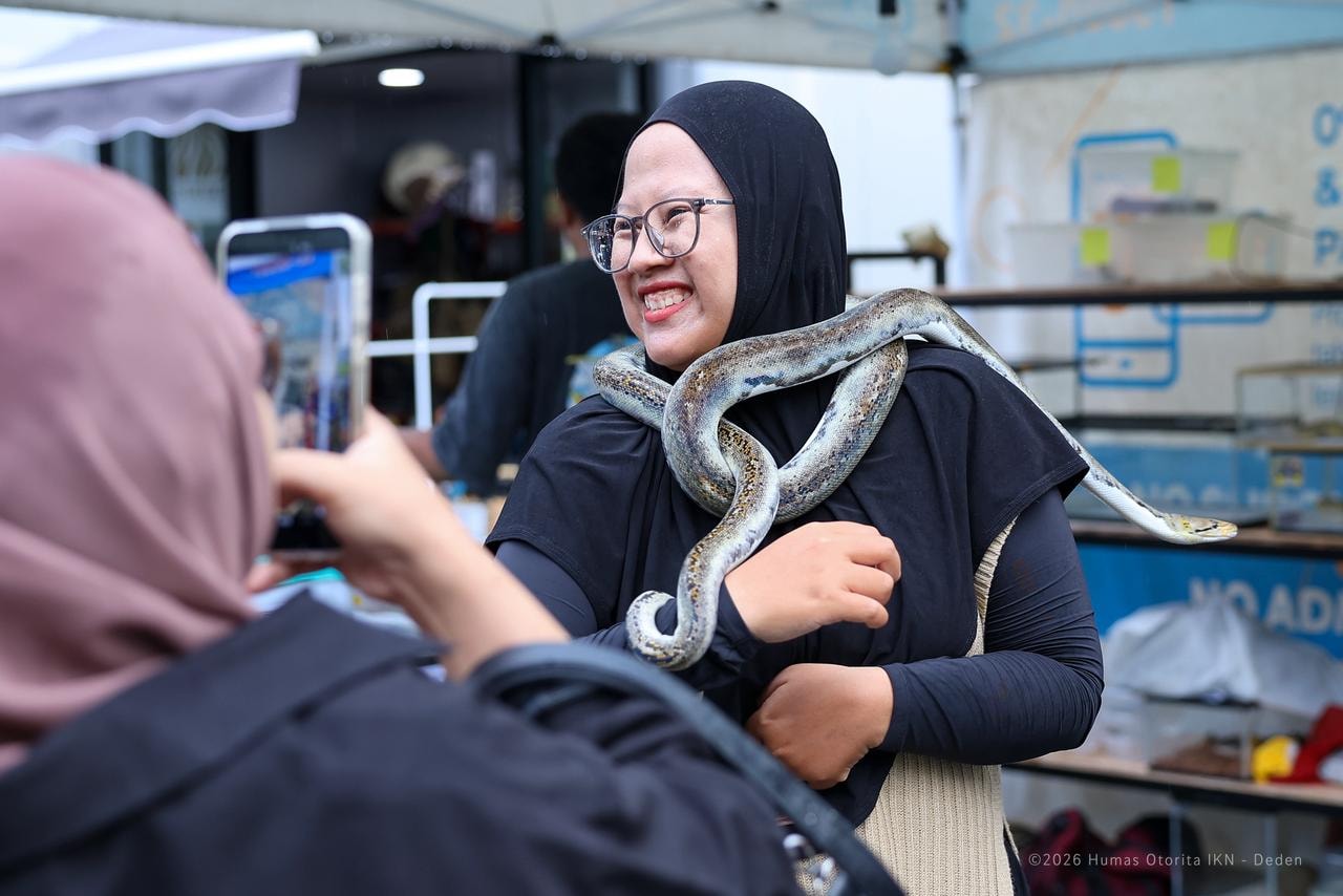 Satwa Reptil