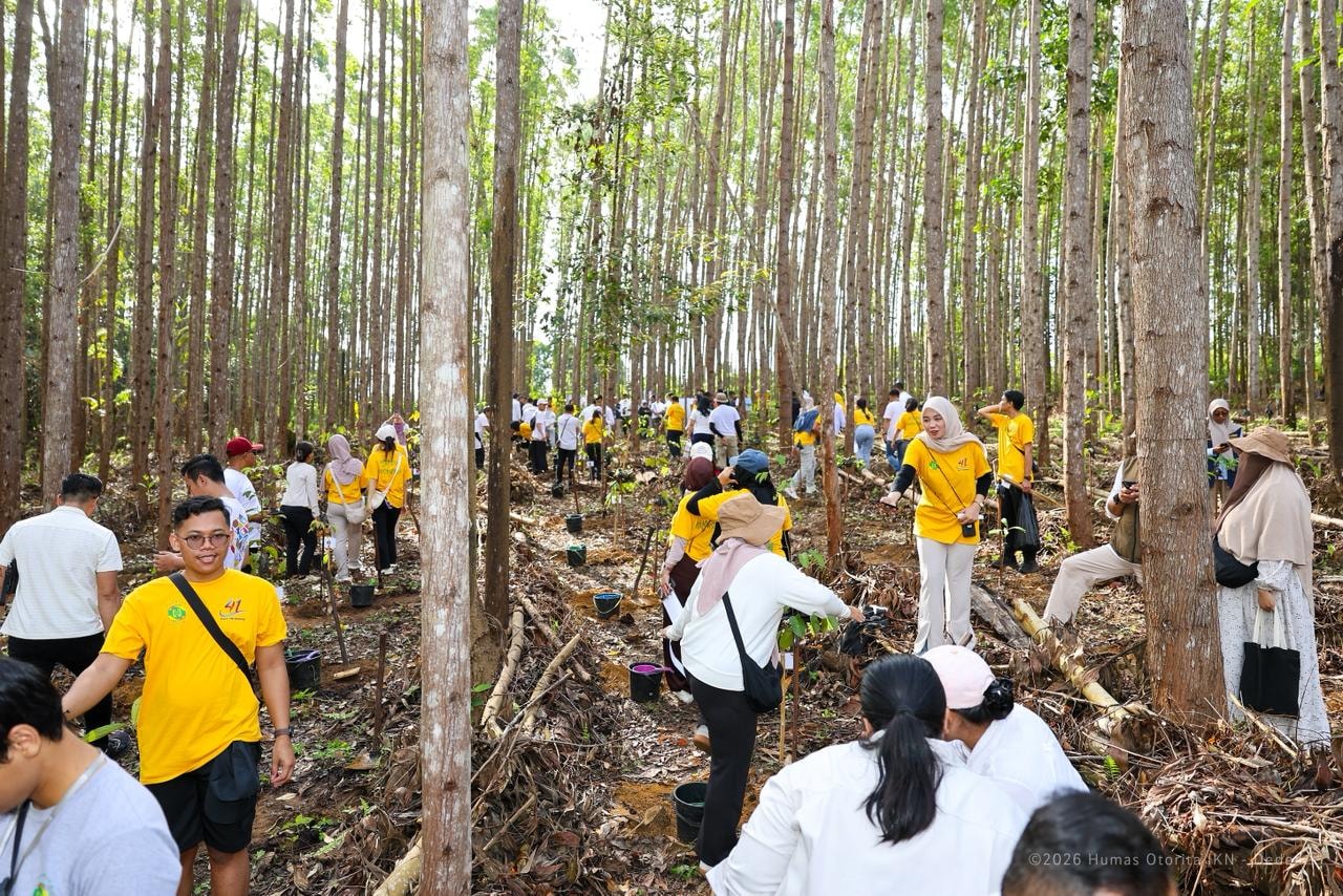 Penanaman di IKN