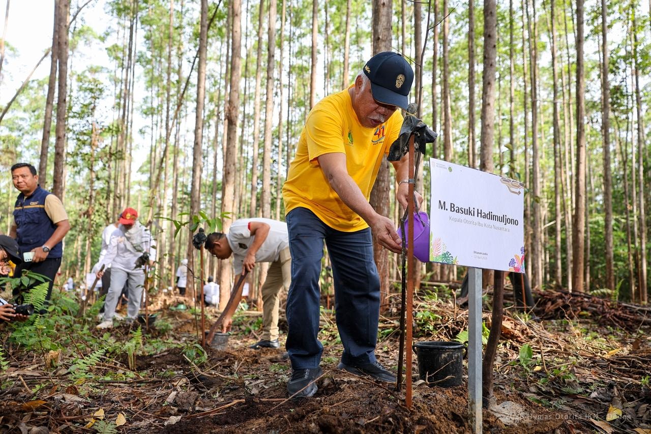 Penanaman di IKN