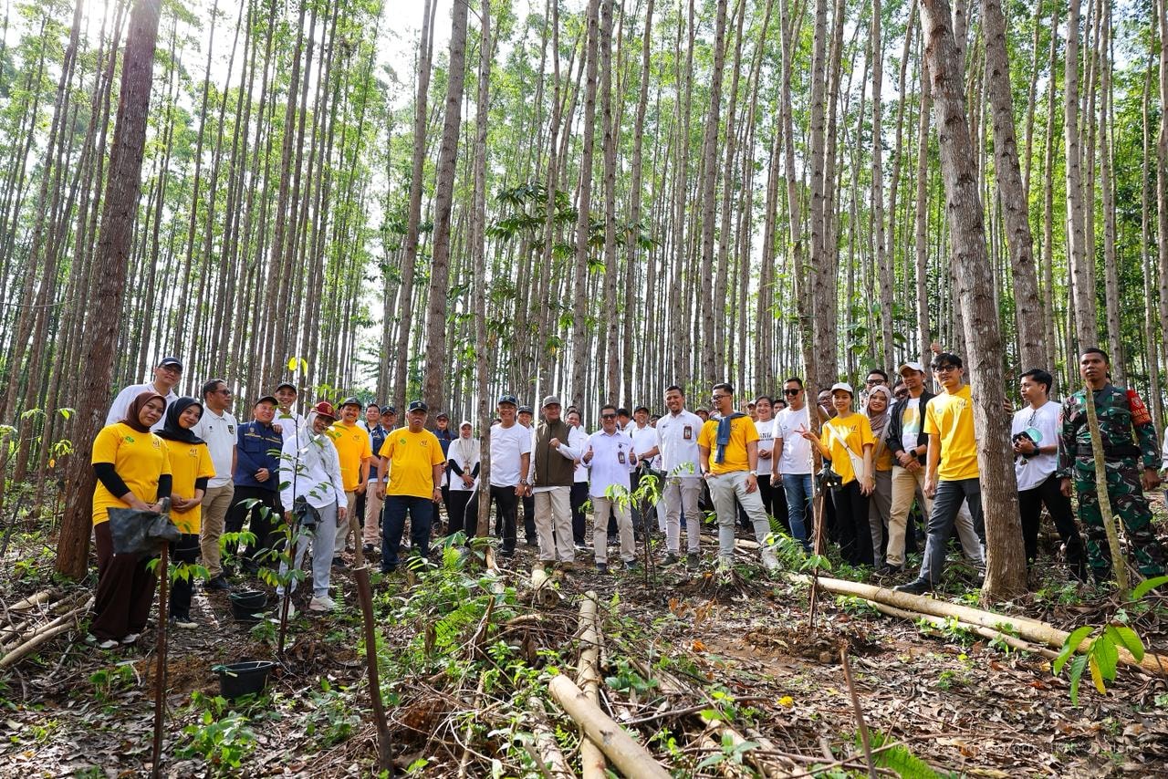 Penanaman di IKN